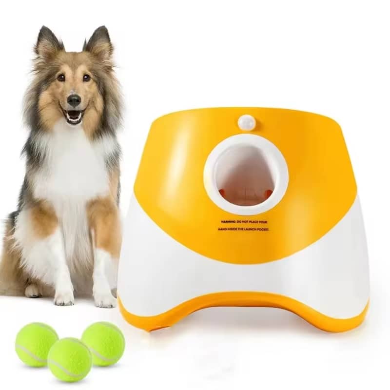 puppi-lob-img-03