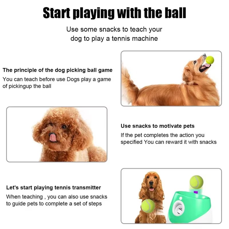 puppi-lob-img-10