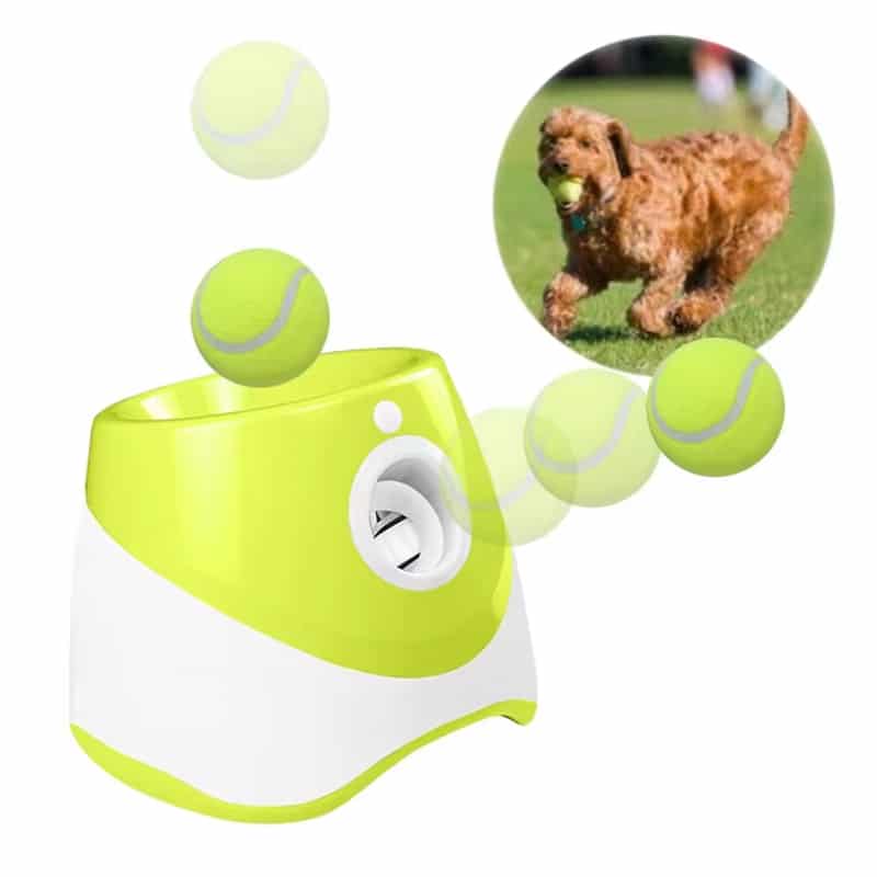 puppi-lob-img-20