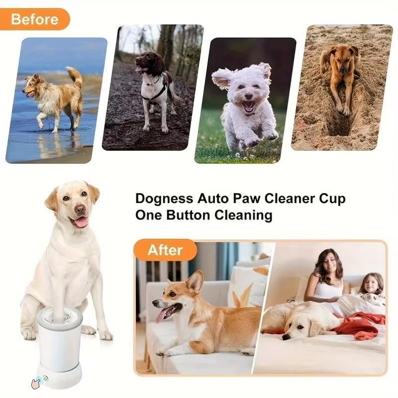 puppi-posh-img-16