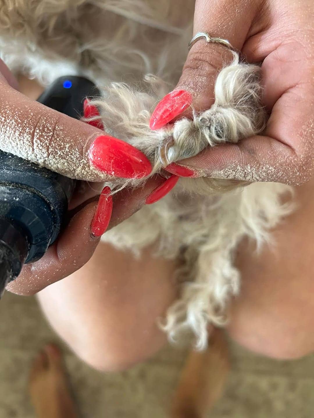 puppi-claw-2-0-img-23